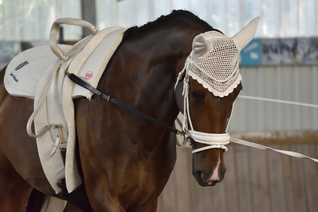 a59850aa-2f93-4ec0-957a-991e5837c013